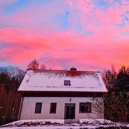 Dom Na Pstraznicy Villa Kudowa-Zdrój Eksteriør billede
