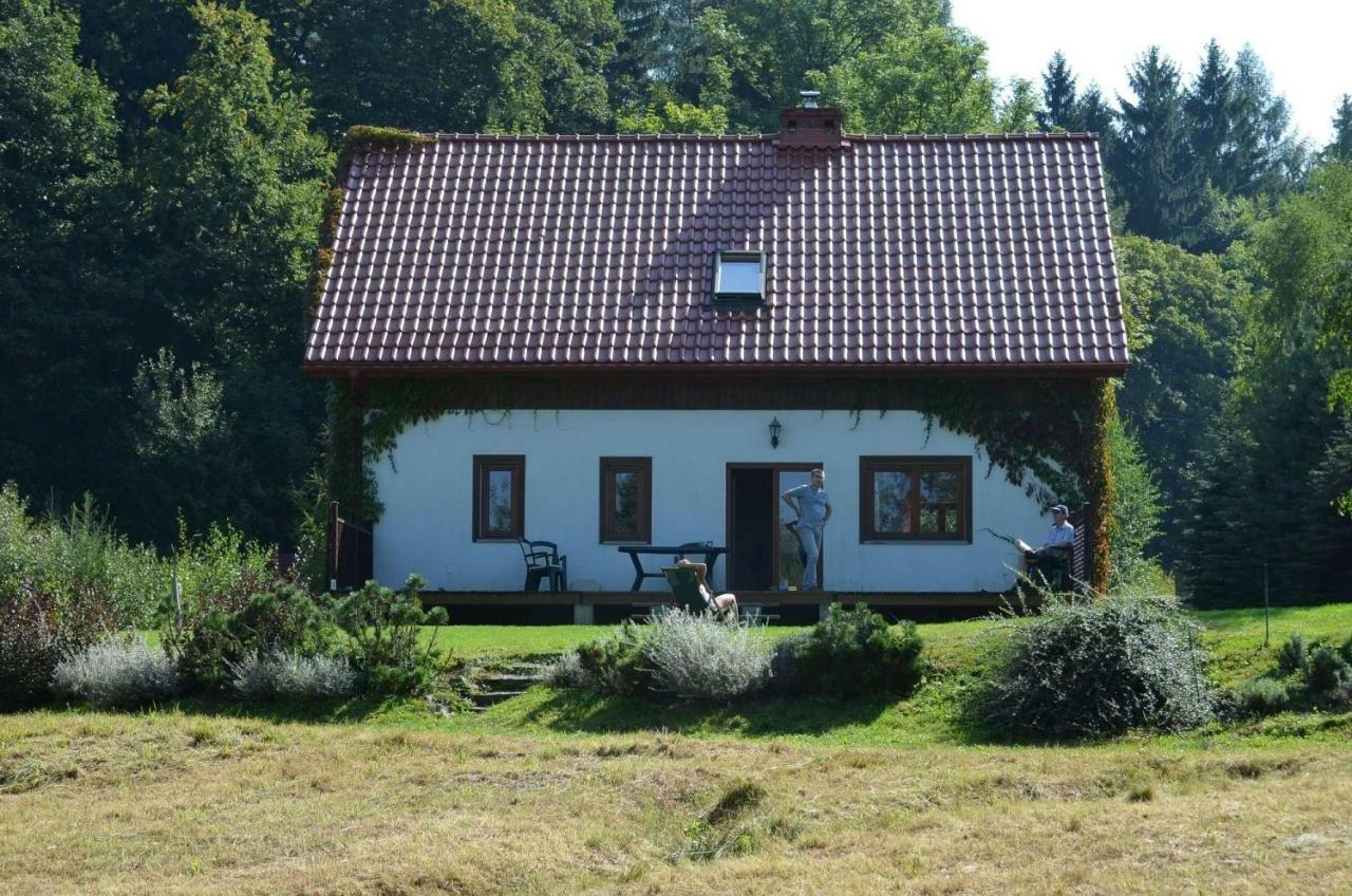 Dom Na Pstraznicy Villa Kudowa-Zdrój Eksteriør billede