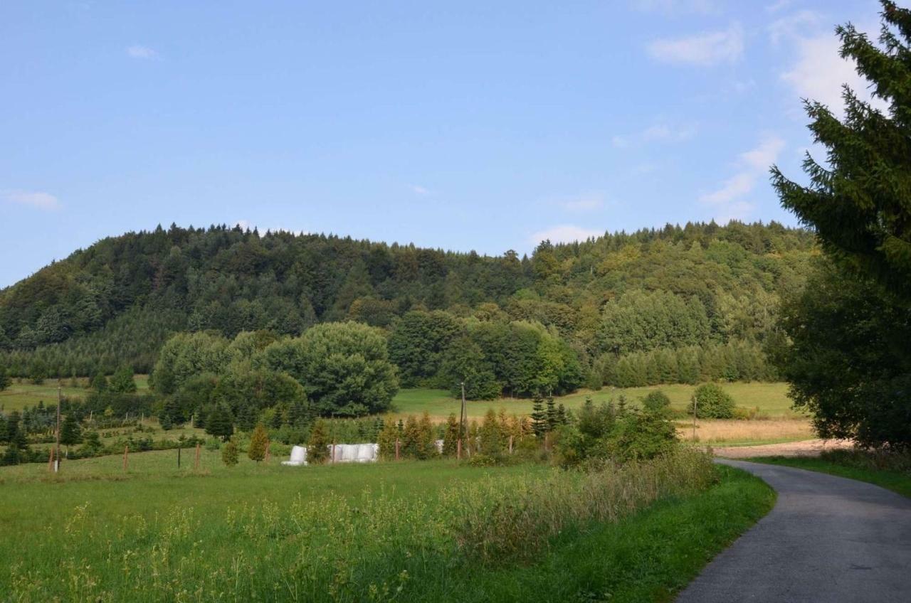 Dom Na Pstraznicy Villa Kudowa-Zdrój Eksteriør billede